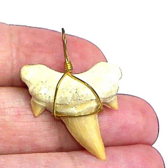 Vintage Fossilized Mako Shark Tooth Pendant Wrapped In Bronze Wire - Picture 5 of 5